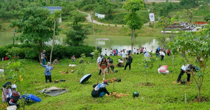 Menuju Forest City, IKN Perkuat Ketahanan Pangan Lewat Penanaman Kopi Liberika